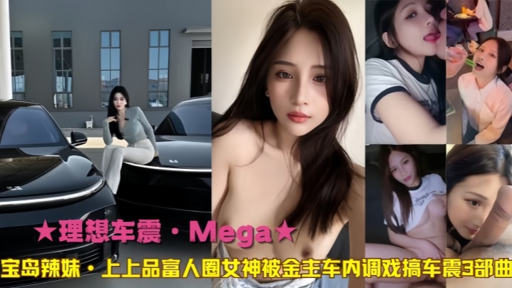 [理想车震·Meg﻿a]宝岛辣妹上上品富人圈女神被金主车内调戏搞车震3部曲海报剧照