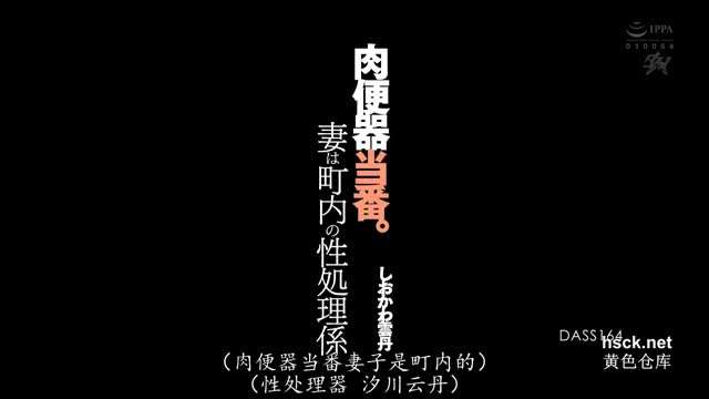 (五区)DASS-164 肉便器专门-汐川云丹详情介绍【中文字幕】