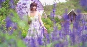 JasmineJ紫色花海的爱-sha