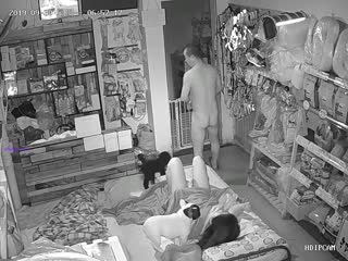 十月新破解家庭網絡攝像頭偷拍寵物用品店夫妻在店裡打地鋪做愛幾個小狗在旁邊玩耍
